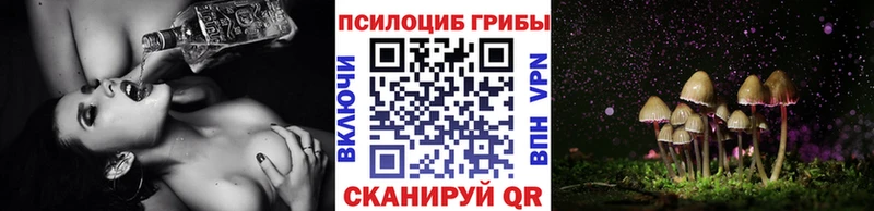 Псилоцибиновые грибы мицелий  Баксан 