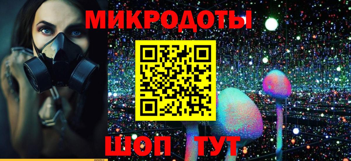 Галлюциногенные грибы Psilocybe Баксан