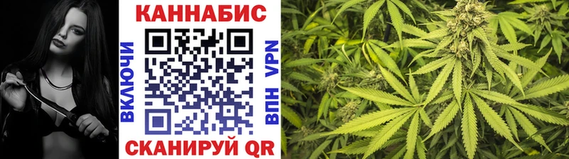 Бошки Шишки OG Kush  Баксан 